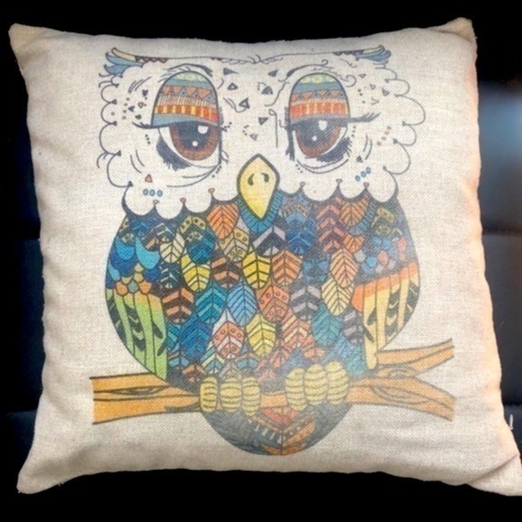 OWL Accent Pillow! - Picture 1 of 3